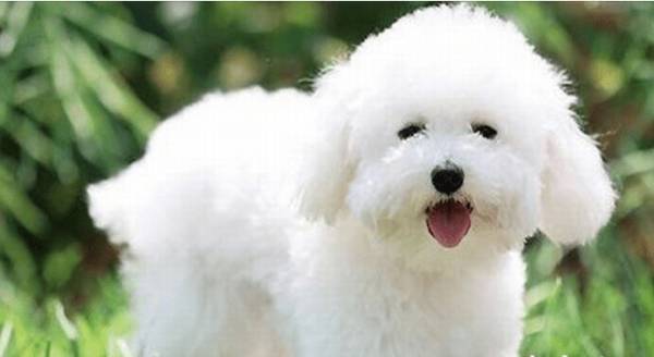 ������μ�ëƯ����