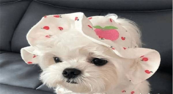 ������������ë��