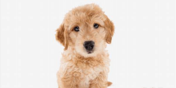 ����.�޼���ë���洦������Щ��