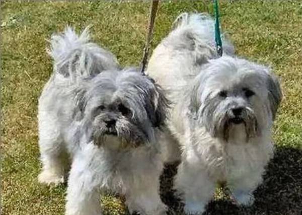 ����Ȯ��ô��ë����Ȯ�����ëƯ��