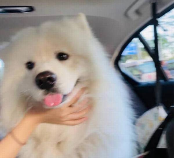 �ճ�����������ë���ķ�ʽ