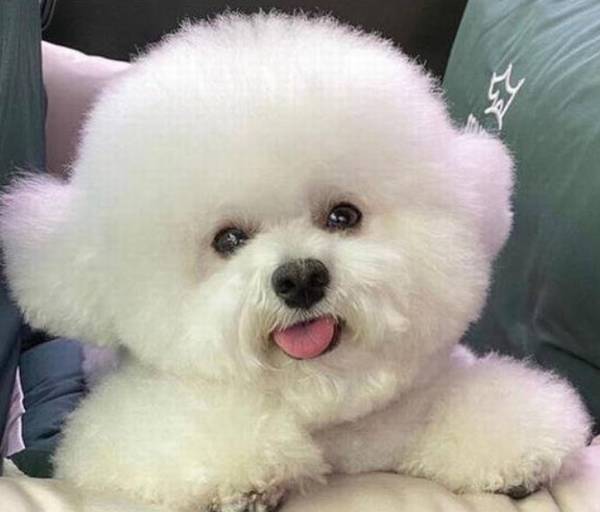 �ﹷ����ϴë��ʱ�ĳ�������