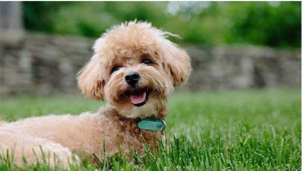 ̩��ë�������ô������