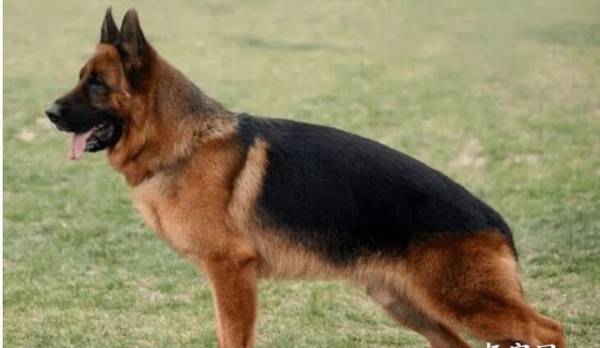 ���������ݻ����Ĺؼ���λ