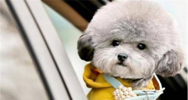 ��̩�ϳ�ʲô��ëɫ�ã�