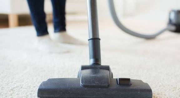 揭密!狗狗鸡蛋黄美毛的密秘:每天填补蛋黄,就能帮狗狗美毛? 揭密!狗狗鸡蛋黄美毛的密秘:每天填补蛋黄,就能帮狗狗美毛?