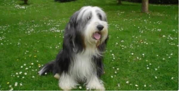 �����������Ȯ����ò��������