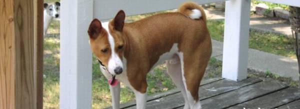 ������Ȯ��Դ����ϸ����