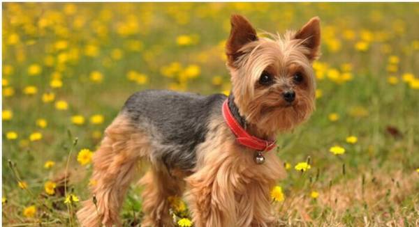 Լ������������ж�?