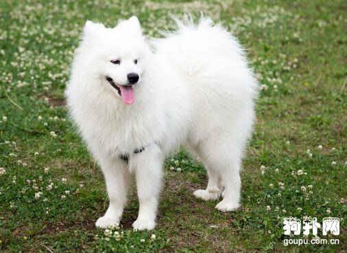 ��ɰ��Ĺ����ֹ���Ʒ����ô�ദ��