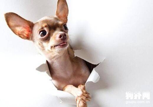 ��ɰ��Ĺ����ֹ���Ʒ����ô�ദ��