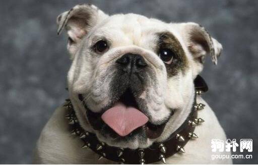 ��ɰ��Ĺ����ֹ���Ʒ����ô�ദ��