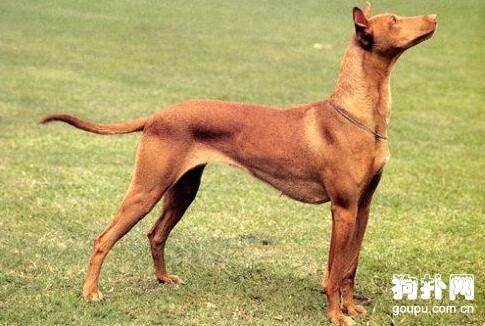 ���ִ���Ȯ���ʺϼ������̵��ʺϼ�����10�ִ���Ȯ