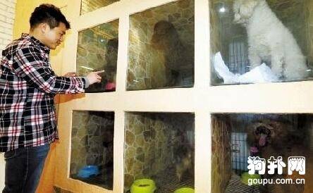 宠物寄养去哪儿?一天多少钱? 宠物寄养去哪儿?一天多少钱?