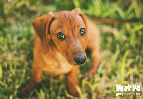 �̵�4����˳������Ȯ������ϲ����������