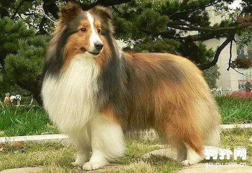 �̵�4����˳������Ȯ������ϲ����������