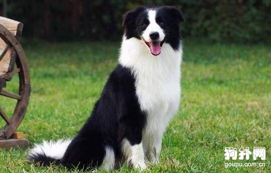 ��ֵ��������˳������Ȯ��������