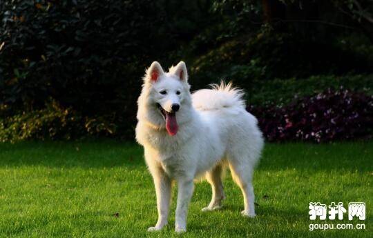 ��ֵ��������˳������Ȯ��������