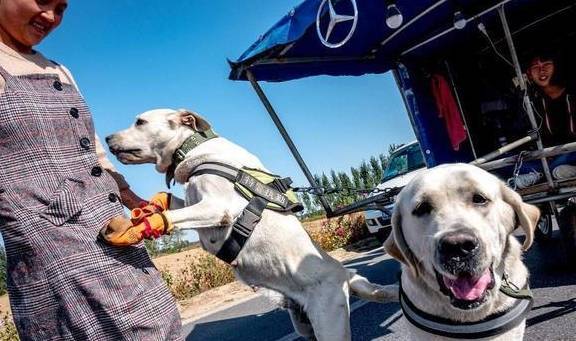 �������������಻���£��Ǿ͡��ҷ��ź򡱣���5�ִ���������