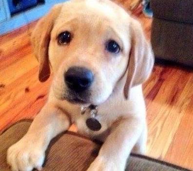 �������������಻���£��Ǿ͡��ҷ��ź򡱣���5�ִ���������