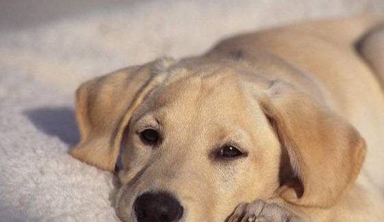 �������������಻���£��Ǿ͡��ҷ��ź򡱣���5�ִ���������