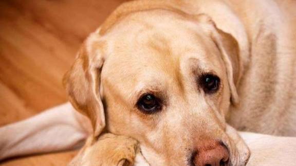 �������������಻���£��Ǿ͡��ҷ��ź򡱣���5�ִ���������