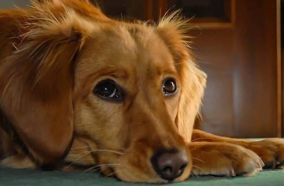 �꣬��Ĺ�����͵���㣡����б�ӿ���������������״̬