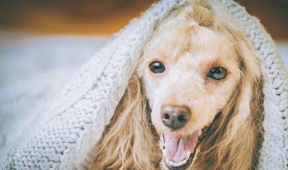 �꣬��Ĺ�����͵���㣡����б�ӿ���������������״̬