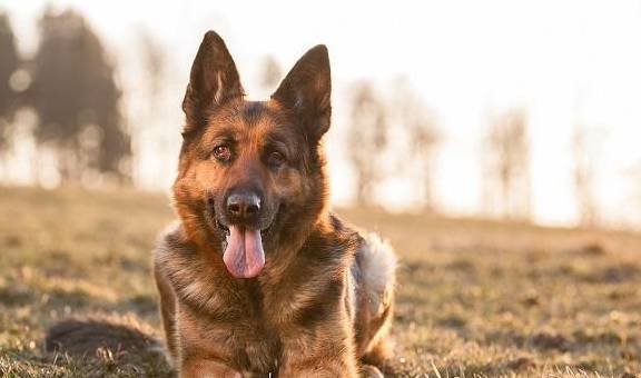 �꣬��Ĺ�����͵���㣡����б�ӿ���������������״̬