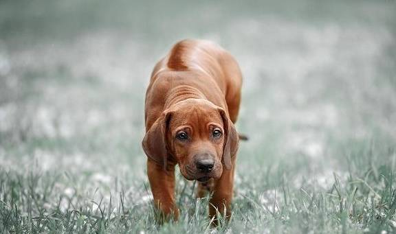 �꣬��Ĺ�����͵���㣡����б�ӿ���������������״̬