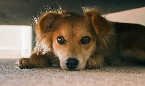 �꣬��Ĺ�����͵���㣡����б�ӿ���������������״̬