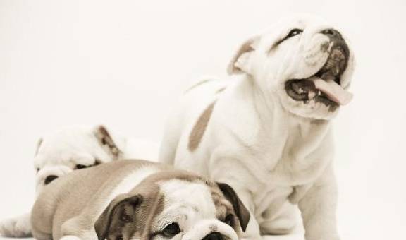 ������ϲ��ʳ��TOP5��������Թ������ԣ��Ǵ���Ȼ��θ���򻯴ٽ�