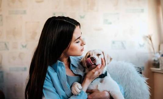 在狗狗的眼中,主人拥抱它,代表这种含意! 在狗狗的眼中,主人拥抱它,代表这种含意!