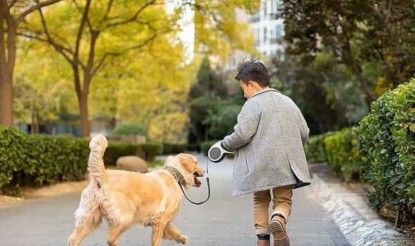 “蠢狗”的七大主要表现,你们家狗狗占了几个? “蠢狗”的七大主要表现,你们家狗狗占了几个?