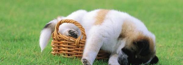 �׹����䰮��ˮ����������𣿸�������ˮ����ע��ʲô��