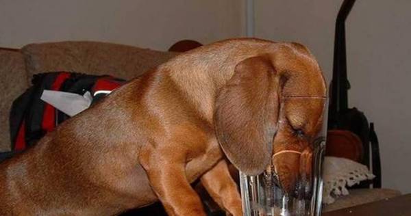 �׹����䰮��ˮ����������𣿸�������ˮ����ע��ʲô��