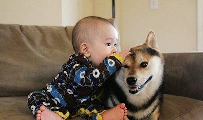 ��������ǰ��������˵����