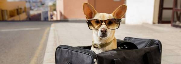 �����ö�����������ˣ� ���������˵���Ҫ���֣�