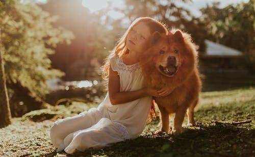 汪星人养动物第一事,要搞清楚哪些对狗狗最重要的 汪星人养动物第一事,要搞清楚哪些对狗狗最重要的