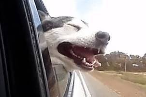 ������ͷ����������Ե�ʣ����˽�ö���أ�