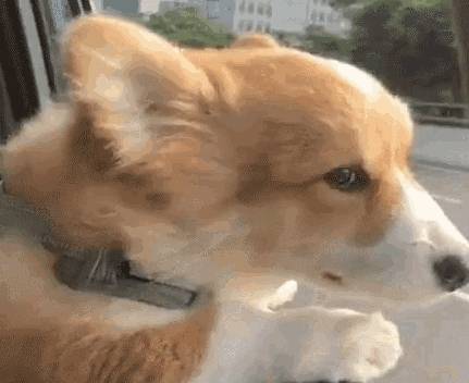 ������ͷ����������Ե�ʣ����˽�ö���أ�