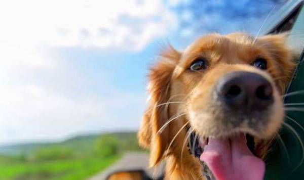 ������ͷ����������Ե�ʣ����˽�ö���أ�