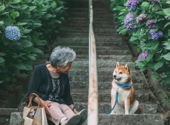 你狗狗究竟有多爱你,你可能不知道,这几个层面你不得不说 你狗狗究竟有多爱你,你可能不知道,这几个层面你不得不说