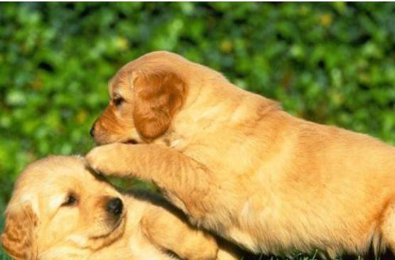 ������ʺ�г�����������