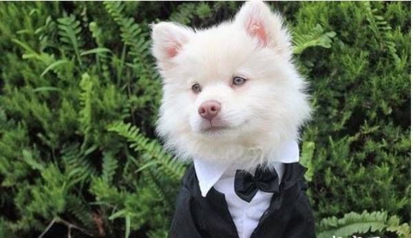 ����һֱ��������צ������ô����?