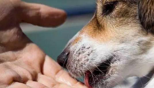 ���������������ֺͽŵ�Ե�ʣ��벻����6�㣡