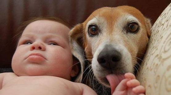 ���������������ֺͽŵ�Ե�ʣ��벻����6�㣡