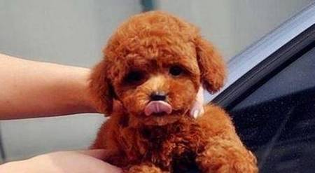 ���������������ֺͽŵ�Ե�ʣ��벻����6�㣡