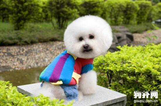 �����·���ѡ���Ĵ�ע������