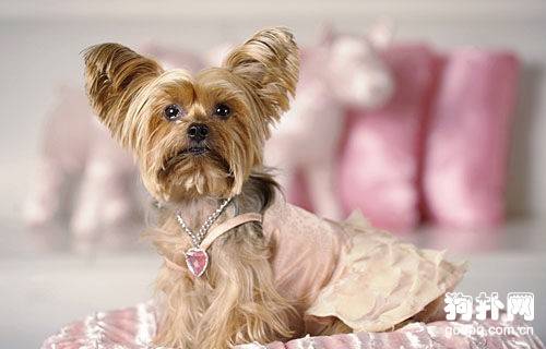 �������·��ĳ�ʶ����